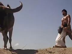 Video phim sex mới phụ đề thủ công