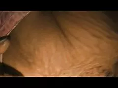 Blondie's ngon đít và phim nong vietsub âm hộ